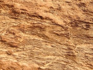 What Is Sandstone Used For?